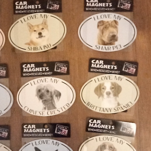 Pet car magnets please read description - Picture 4 of 7